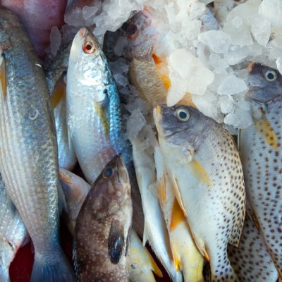 Продажи «белой» икры за год выросли на 27,8%. Владимир Путин подписал закон об ужесточении правил рекламы энергетиков. Новости за 27 октября Продажи «белой» икры за год выросли на 27,8%. Владимир Путин подписал закон об ужесточении правил рекламы энергетиков. Новости за 27 октября