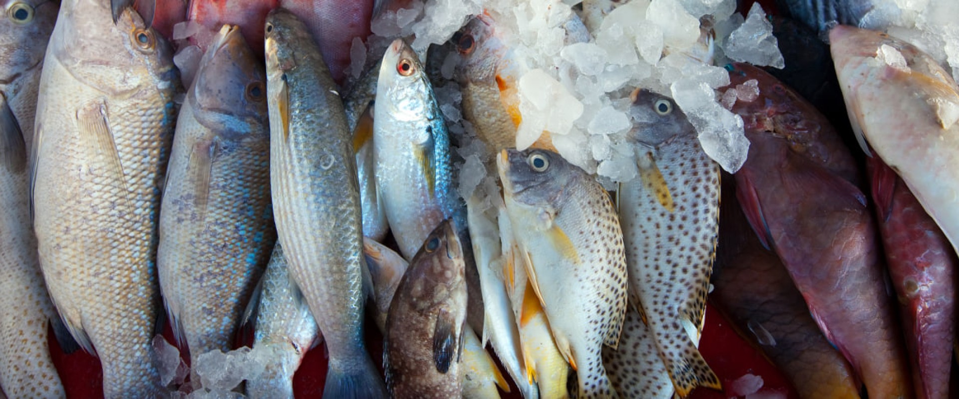 Продажи «белой» икры за год выросли на 27,8%. Владимир Путин подписал закон об ужесточении правил рекламы энергетиков. Новости за 27 октября Продажи «белой» икры за год выросли на 27,8%. Владимир Путин подписал закон об ужесточении правил рекламы энергетиков. Новости за 27 октября