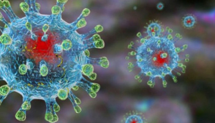 ХАССП. Часть 2. Коронавирус: что нужно знать и предпринимать ХАССП. Часть 2. Коронавирус: что нужно знать и предпринимать