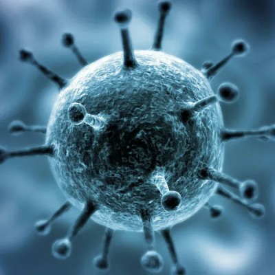 Обзор по отдельным вопросам судебной практики, связанным с применением законодательства и мер по противодействию распространению на территории Российской Федерации новой коронавирусной инфекции Обзор по отдельным вопросам судебной практики, связанным с применением законодательства и мер по противодействию распространению на территории Российской Федерации новой коронавирусной инфекции