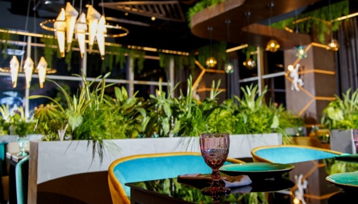 ТСУ в ресторане. Самые частые ошибки ТСУ в ресторане. Самые частые ошибки