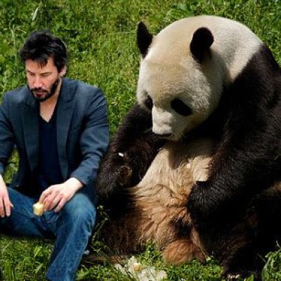 Заметки официанта. О самой интересной работе в мире Заметки официанта. О самой интересной работе в мире