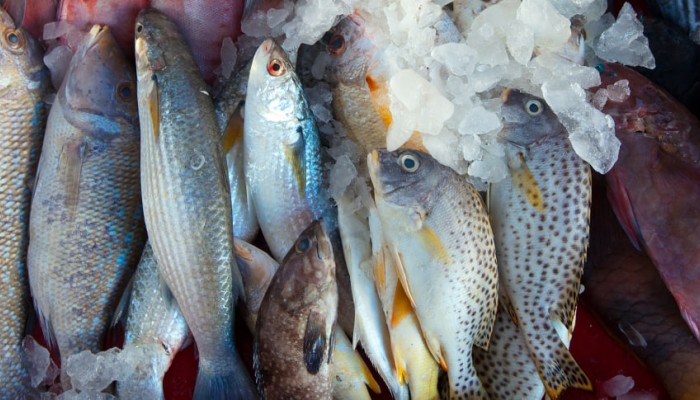 Продажи «белой» икры за год выросли на 27,8%. Владимир Путин подписал закон об ужесточении правил рекламы энергетиков. Новости за 27 октября Продажи «белой» икры за год выросли на 27,8%. Владимир Путин подписал закон об ужесточении правил рекламы энергетиков. Новости за 27 октября