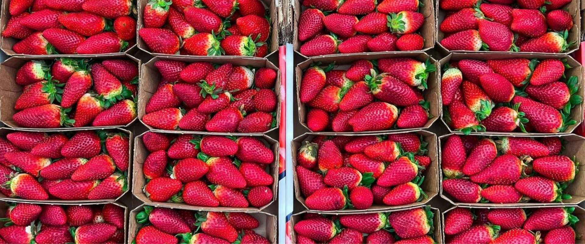 Утвержден новый ГОСТ на фермерские продукты. Рынок доставки еды замедлился из-за кадрового дефицита. Новости за 18 августа 2025 года