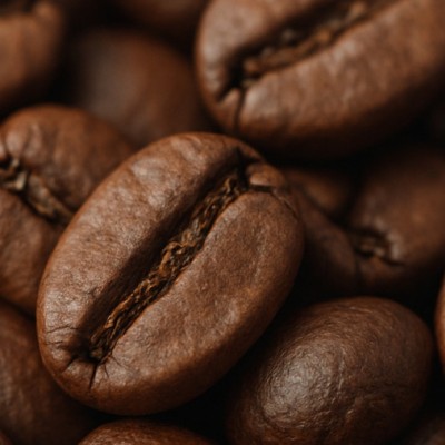 «Чтобы получить 24% годовых с одной точки, на ней нужно жить» — Надежда Бабицкая, Black Fox «Чтобы получить 24% годовых с одной точки, на ней нужно жить» — Надежда Бабицкая, Black Fox