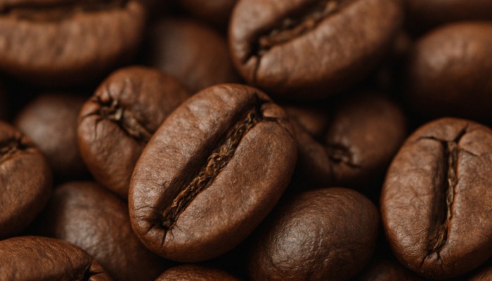 «Чтобы получить 24% годовых с одной точки, на ней нужно жить» — Надежда Бабицкая, Black Fox «Чтобы получить 24% годовых с одной точки, на ней нужно жить» — Надежда Бабицкая, Black Fox